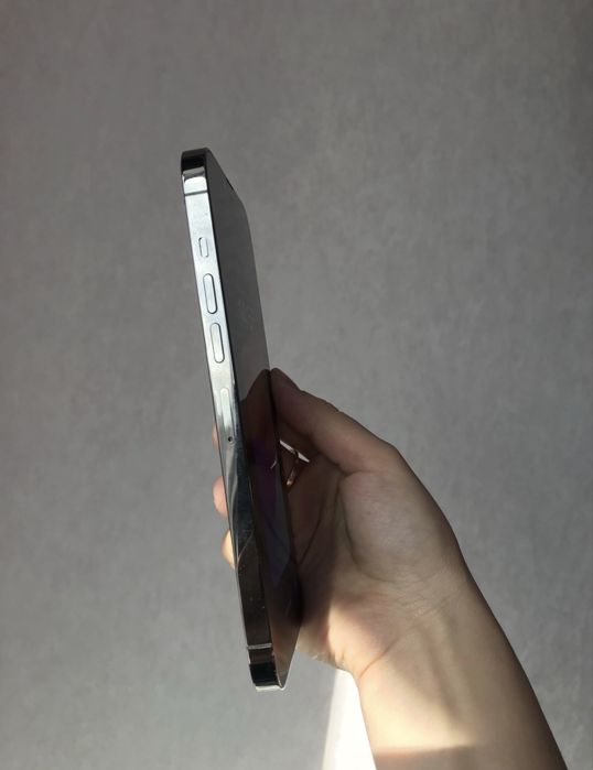 iPhone 13 pro max  1 TB