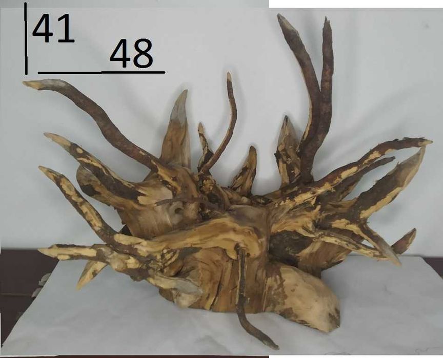 коряги для аквариума , террариума , флорариума .
