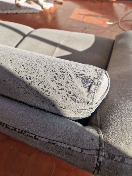Sofa GRATIS 0euro