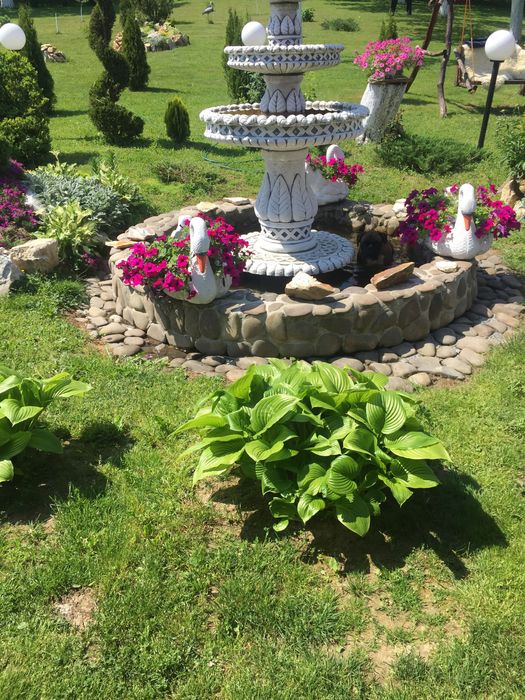 Велятино. Термальні води. Оренда житла.