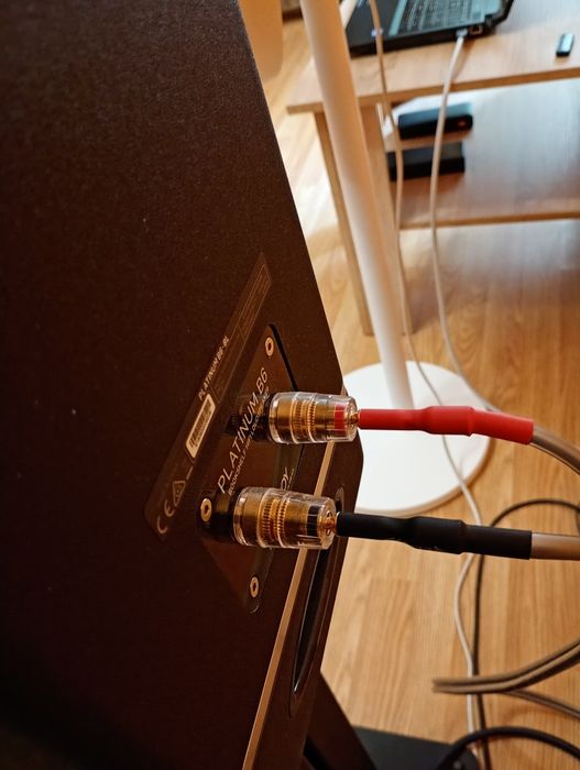 Акустическая система Tannoy Platinum B6