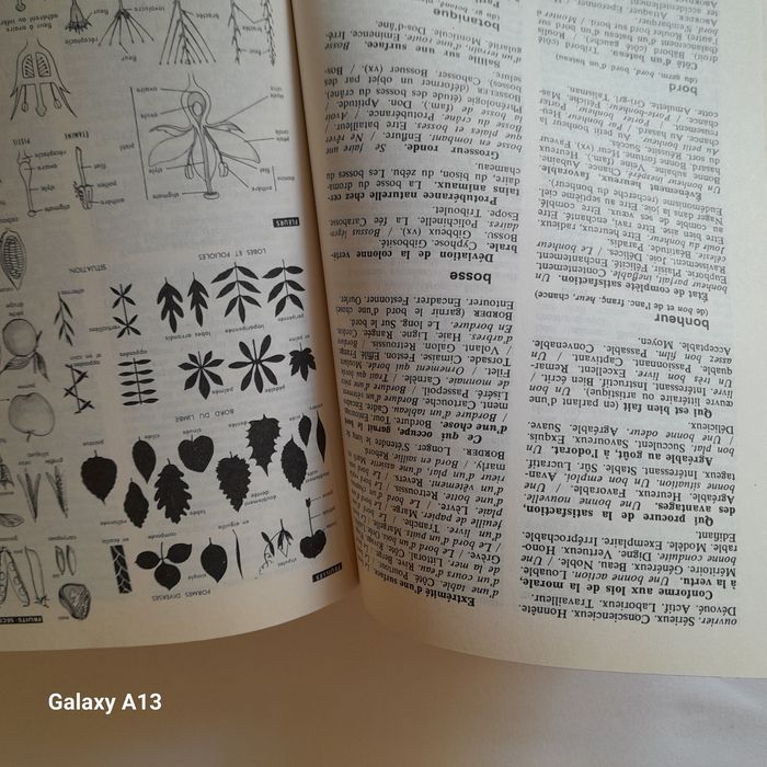 Analogiczny słownik języka francuskiego, dictionnaire analogique