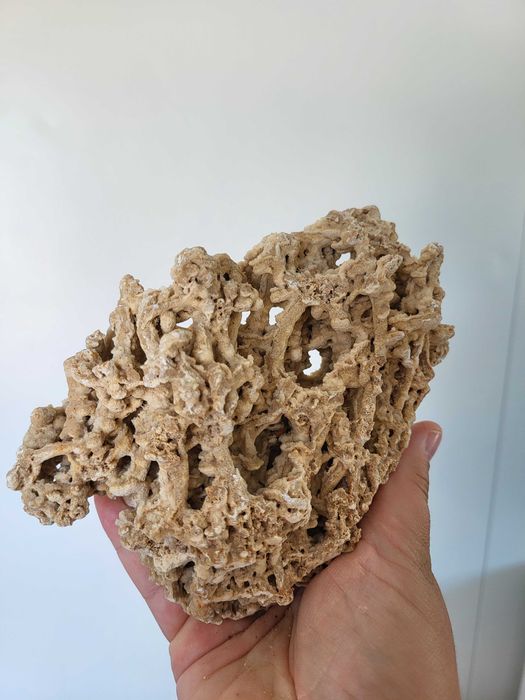 Spaghetti 10-15 Czerwony wapień do akwarium skała kamień naturalny koralowiec Kamienie ogrodowe dekoracyjne
