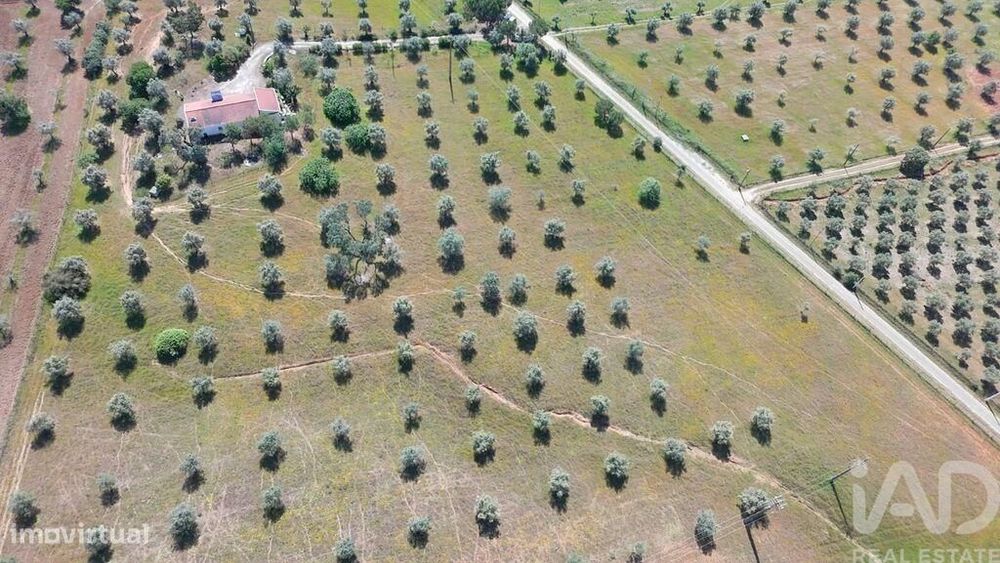 Quinta T2 em Alcórrego e Maranhão de 100 m2