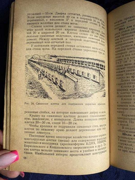 1962! букинист Справочник кроликовода кроли разведение содержание фотовставки