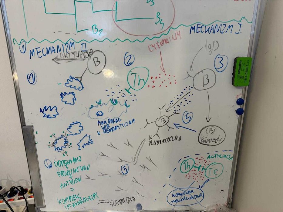 Korepetycje BIOLOGIA Matura ONLINE ze studentem lekarskiego
