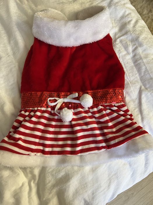 Платье для собак!