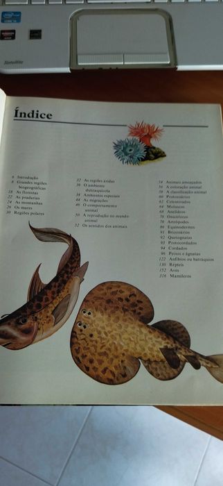 Livro Enciclopédia da Vida Animal