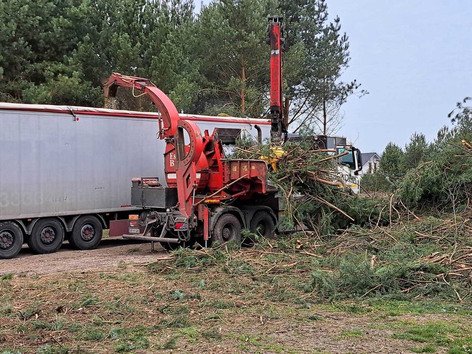 Wycinka drzew samosiejek REKULTYWACJA GRUNTÓW Zielona Góra +-60km
