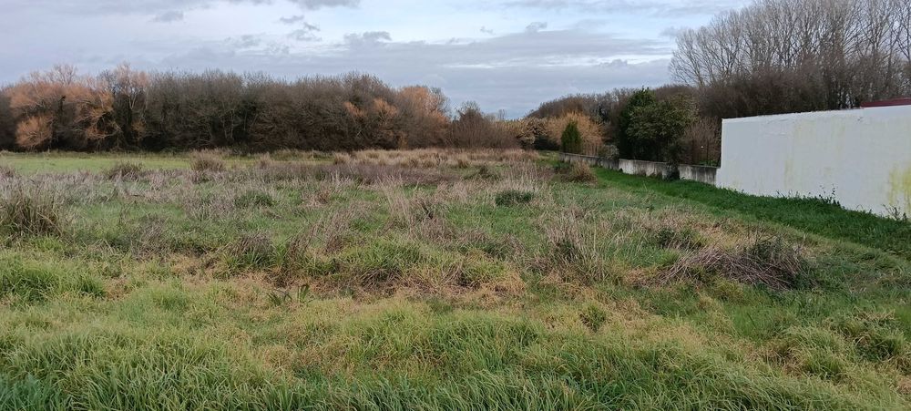 Excelente Terreno Construção Moradias - Ílhavo