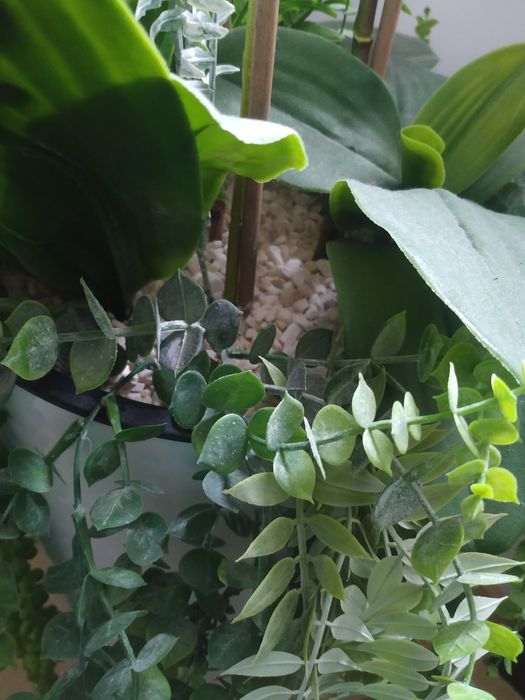 Kwiat sztuczny orchidea storczyk kompozycja bukiet stroik prezent  ślu