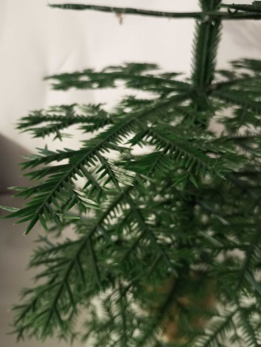 Ялинка пластикова 70-х років. Висота 62 см. Можливий торг.