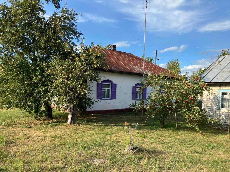 Будинок в мальовничому селі Коропʼє,що на Чернігівщині.