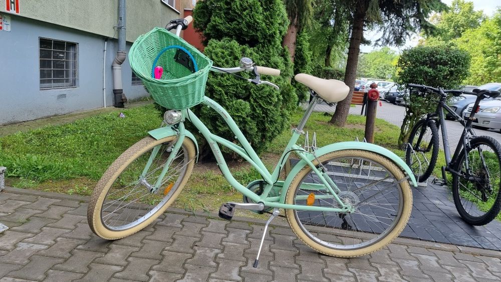 Rower miejsski Indiana cruiser moody
