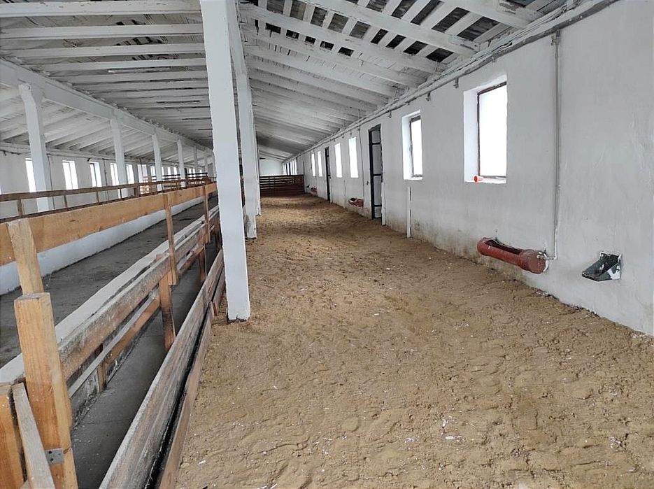 Продаж ферми. Траса Київ Рівне. Житомир. Можна під виробництво.