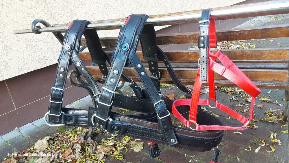 Шлея шкіряна для коня від 2500