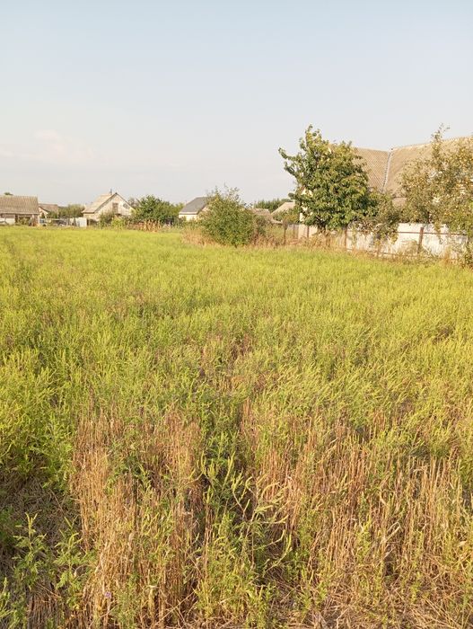 Продам участок землі 0,1448, смт Маньківка, Уманський район, Черкасько