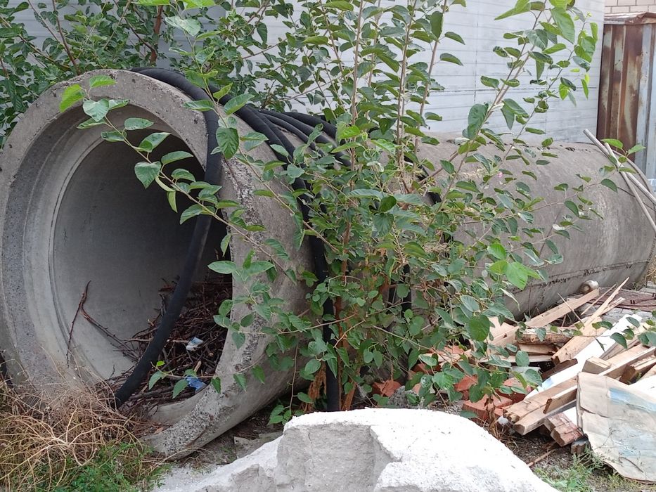 Продам бетонную трубу