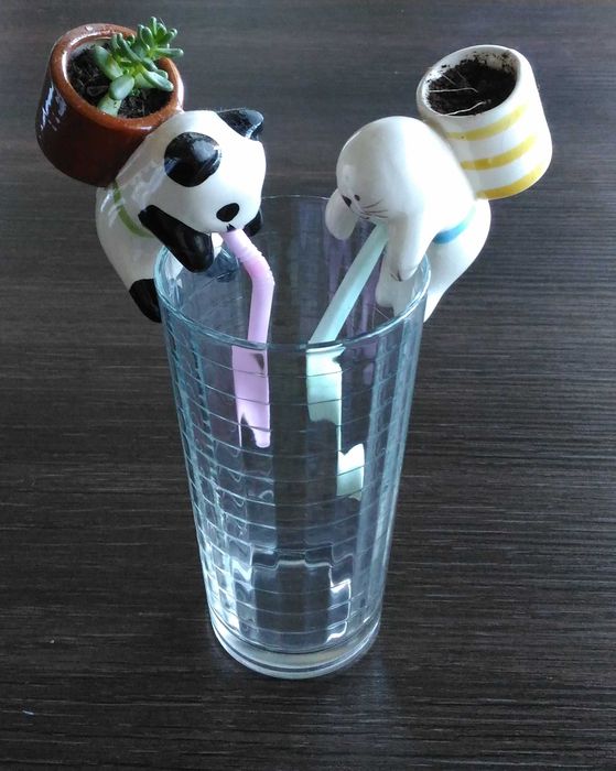 Mini Floreira Animais