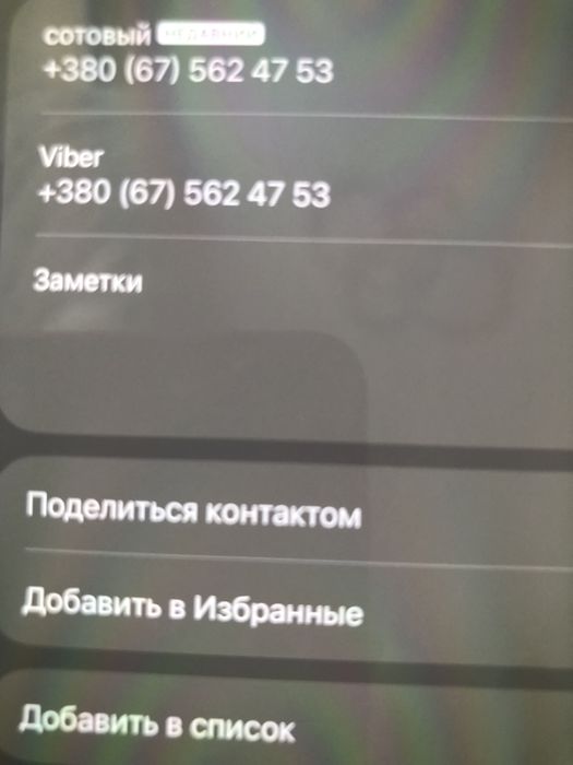 Продаються поросята породи мангал