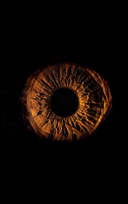 Sony FE 90mm f/2.8 Macro G OSS