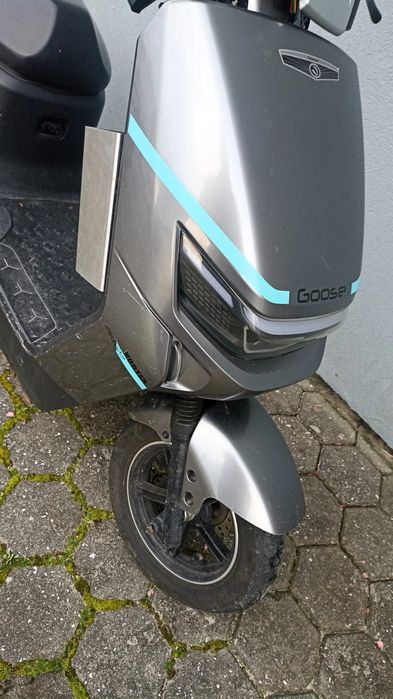 Mota elétrica goose fox