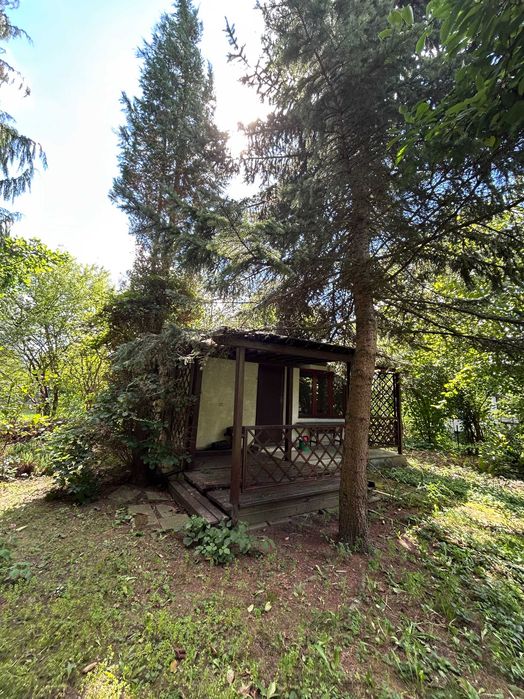 Działka rekreacyjna ROD z murowanym, podpiwniczonym domkiem na sprzedaż! - Widok 3