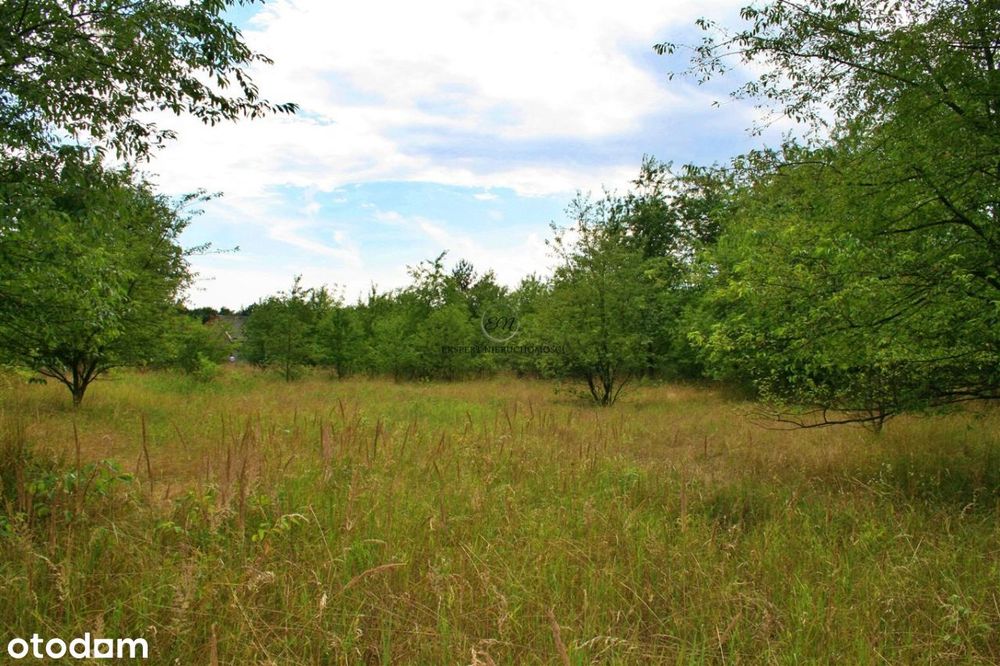 Działka budowlana wśród lasów – Grabówka 18-36 ar