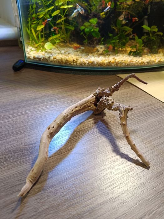 Коряга для акваріуму. 110 грн