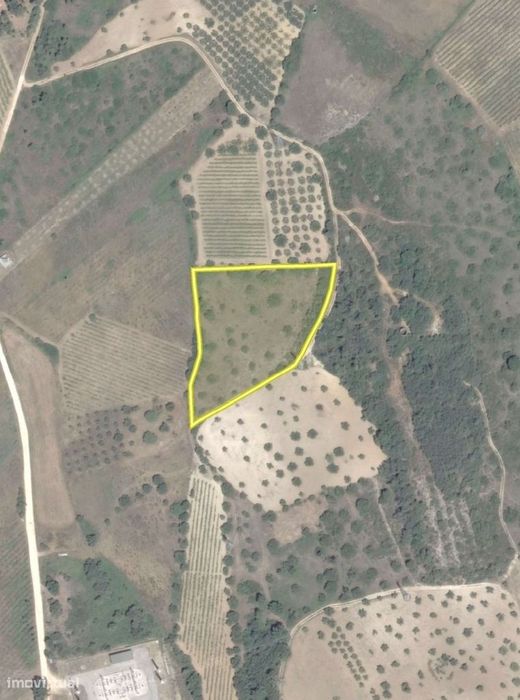 Terreno  Venda em Chancelaria,Torres Novas