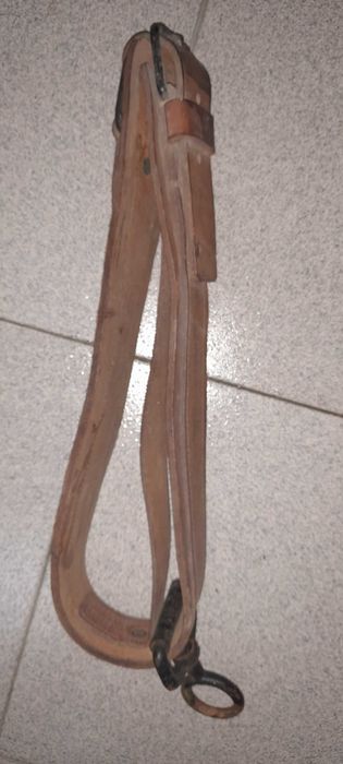 Coleira para equídeos