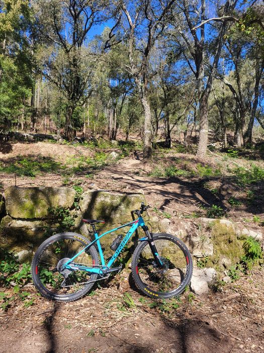 Orbea alma h30 29