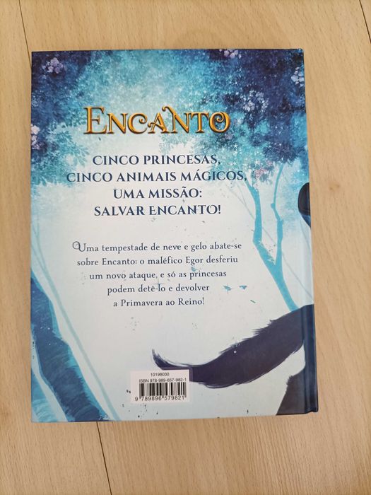Livro-o segredo das princesa