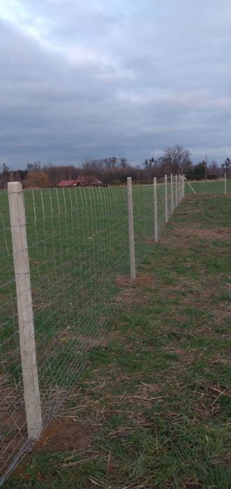 Ogrodzenie siatka leśna słupek betonowy