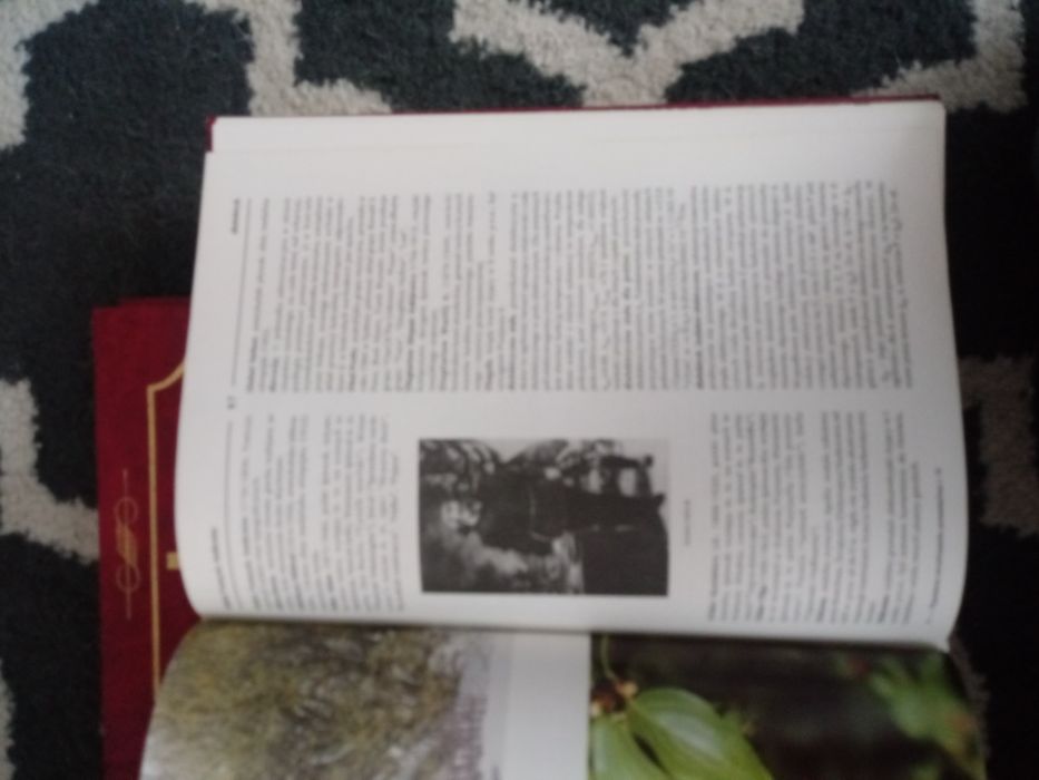 Encyklopedia powszechna.