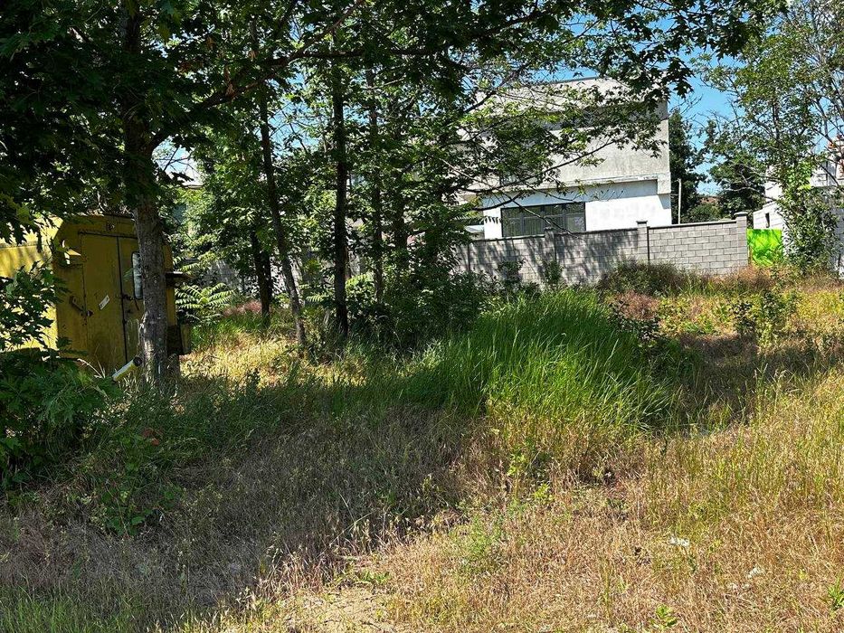 Участок в Тартусе, свет, вода, канализация, газ всё есть на участке