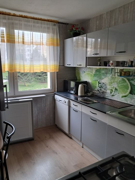 Mieszkanie na wynajem.