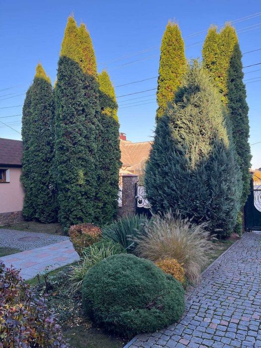 Дом по адресу (площадь 340 м²) - Atlanta.ua - фото 5