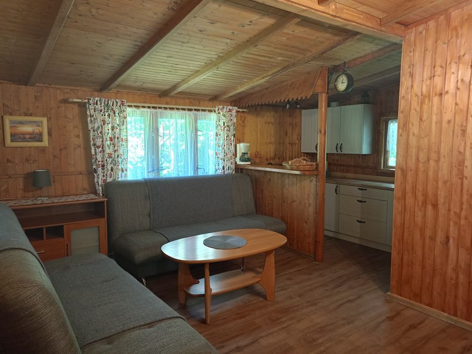 Domek nad jeziorem. Kajak, łódka. Ślesin, Licheń.