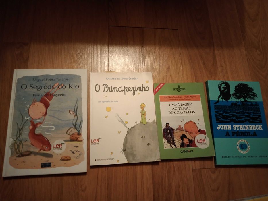 Vários livros estilos