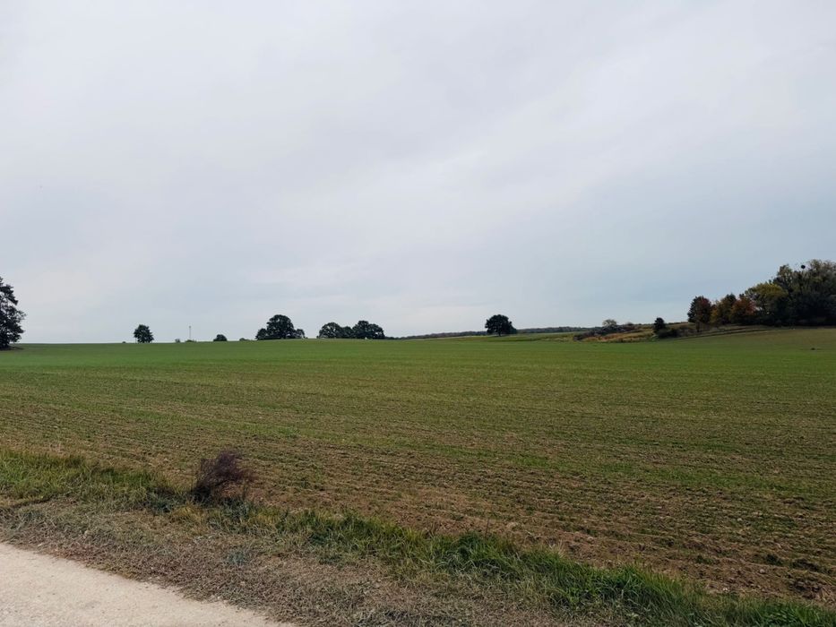 Działka budowlana - pod wymarzony dom - Widok 5