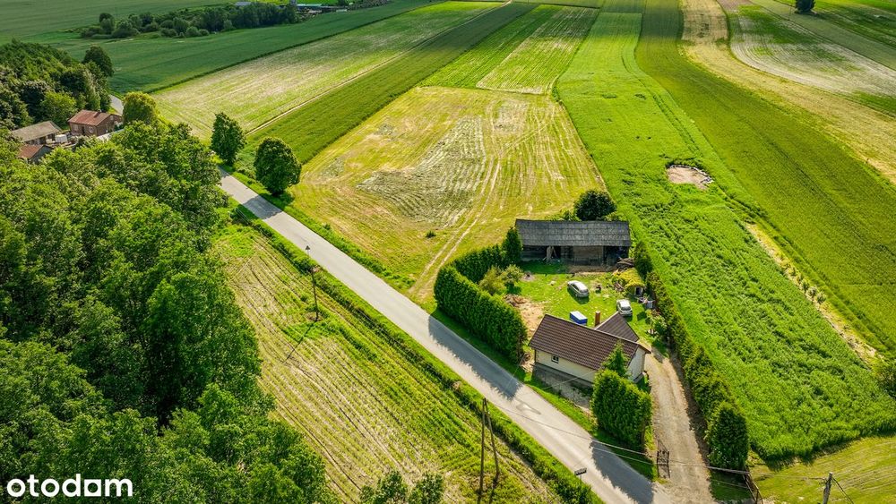 SUPER cena! MPZP, cisza, las – idealne pod Twój wymarzony dom => FILM - Więcej