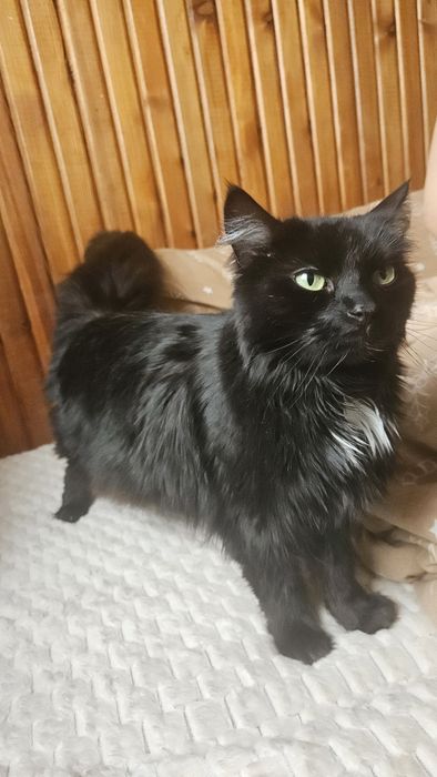 Kto da Zuzi kochajacy dom