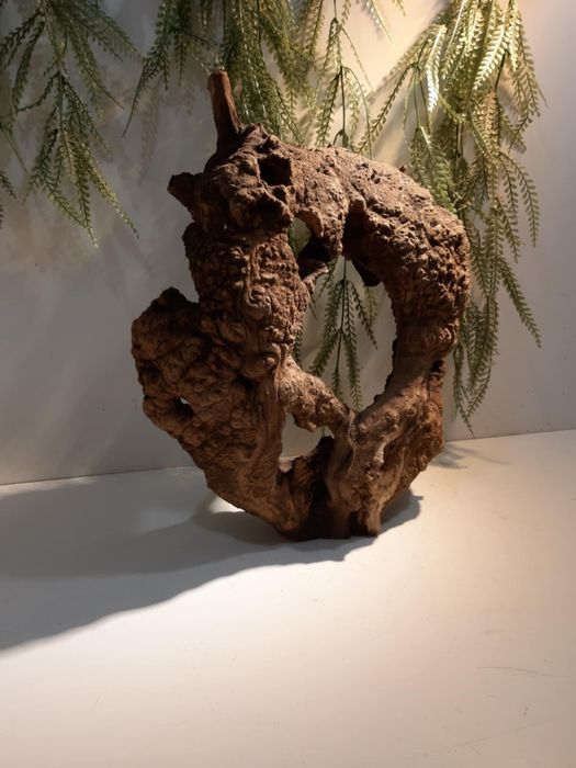 Korzeń do akwarium/terrarium