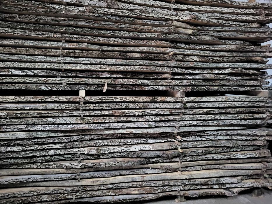 Orzech Włoski, Orzech Europejski, deski orzechowe, tarcica orzechowa