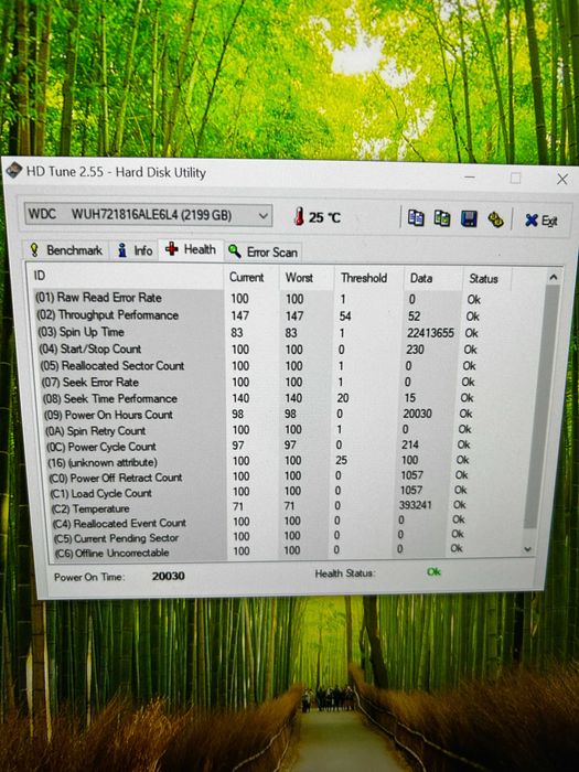 Western Digital ULTRASTAR DC HC550 16 TB GWARANCJA do czerwca 2027 CMR