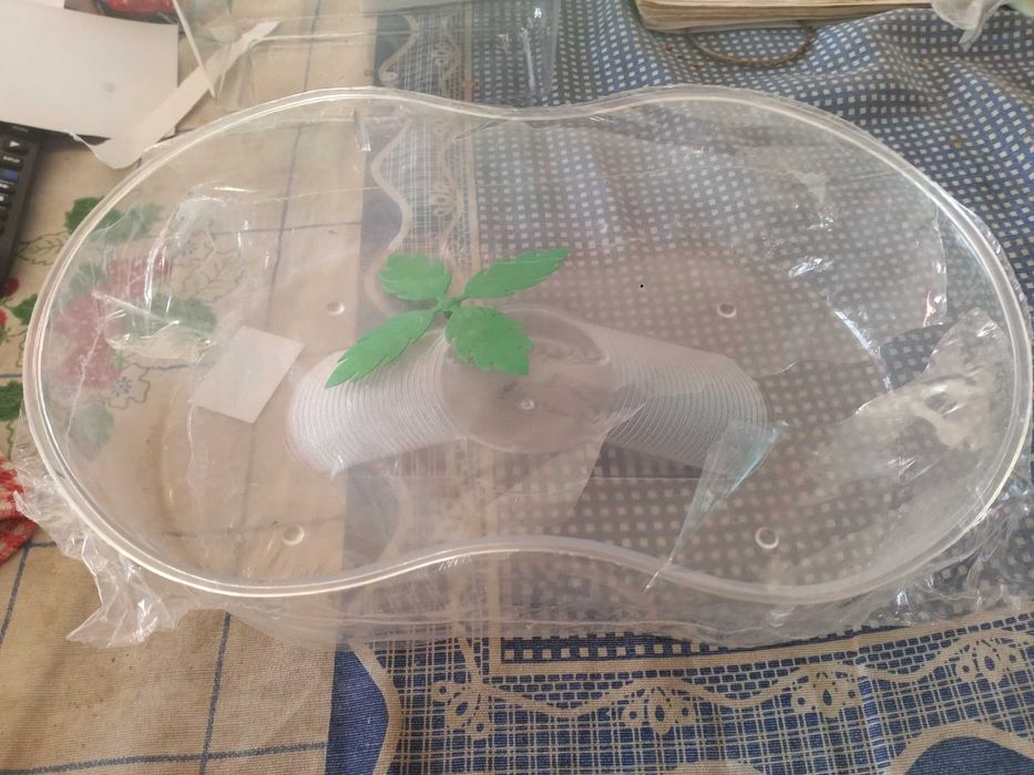 Tartarugueiras novas