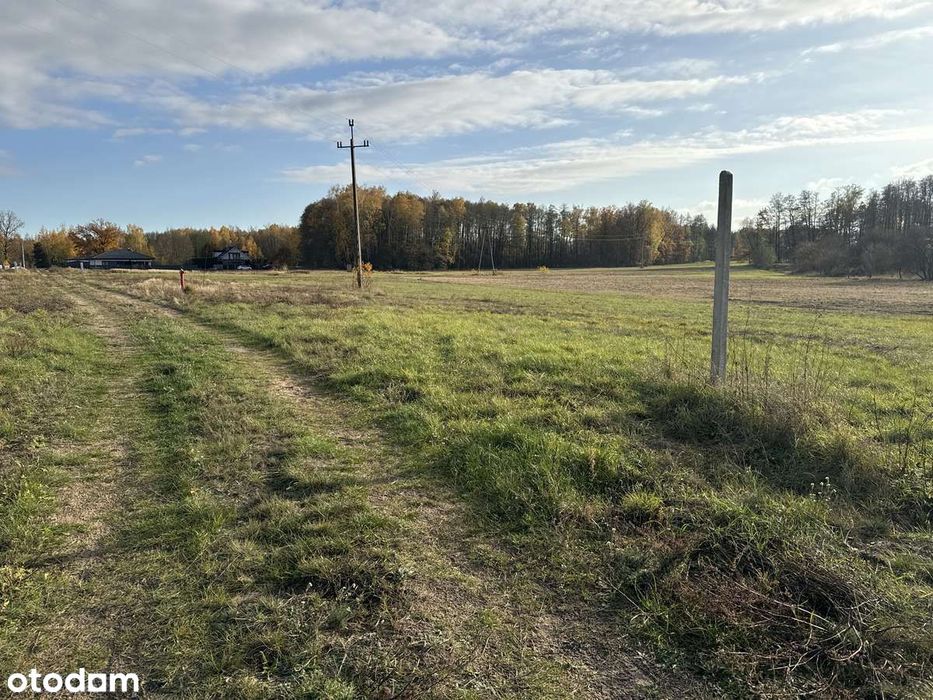 Działka 1000m²   Blisko las prąd na dzialce - Widok 4