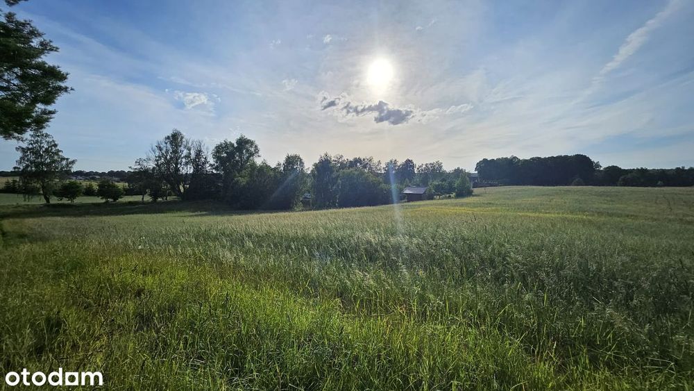 Działki budowlane blisko jeziora Dobrogoszcz - Widok 4