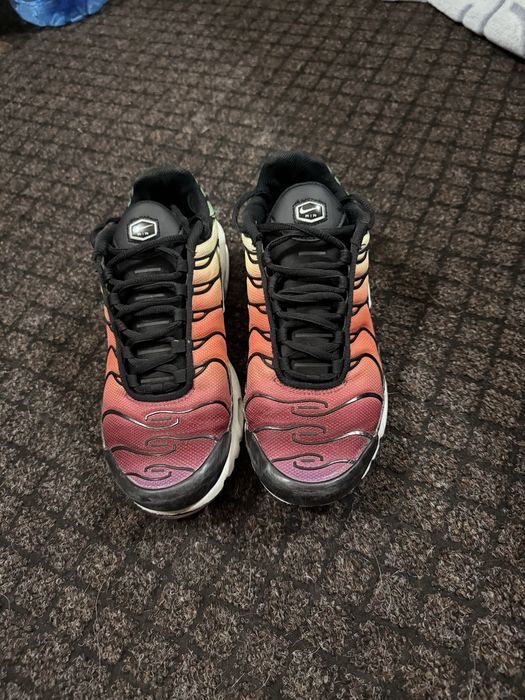 Кросівки жіночі Nike Air Max Plus Shoes Multi оригінальні